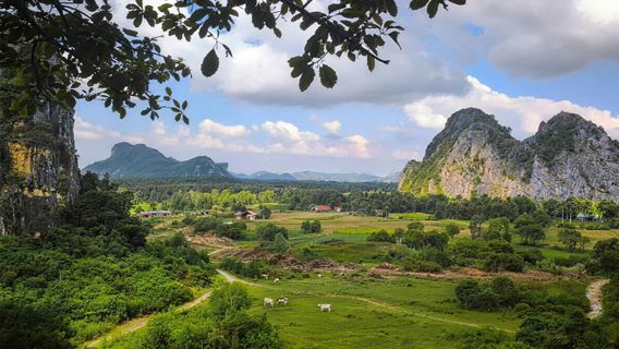 Phnom Penh to Kampot 1-day tour | Salt field + pepper farm + French riverside old town