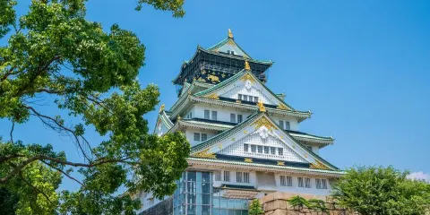 大阪來回-市區景點-大阪海遊館+中之島公園包車,行程可調