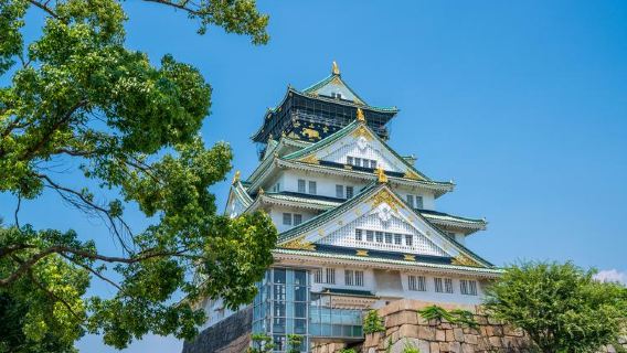 大阪來回-市區景點-大阪海遊館＋中之島公園包車，行程可調