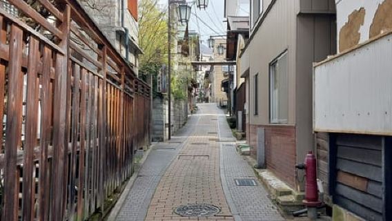 Nagano: Snow Monkey Park, Soba Lunch, and Shibu Onsen Tour