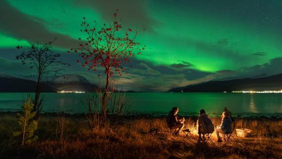 Tromsø:  Northern Lights Hunt with Photos and Hot Food