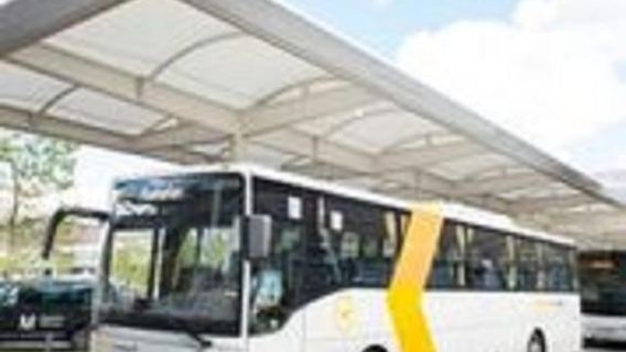 Munich: Airport Transfer by Bus