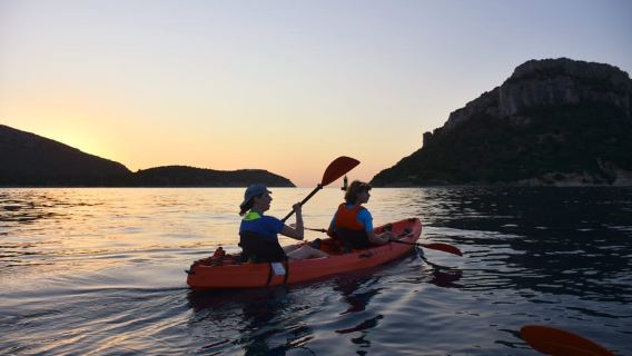 Golfo Aranci: Sunrise Dolphin Kayak Tour with Breakfast
