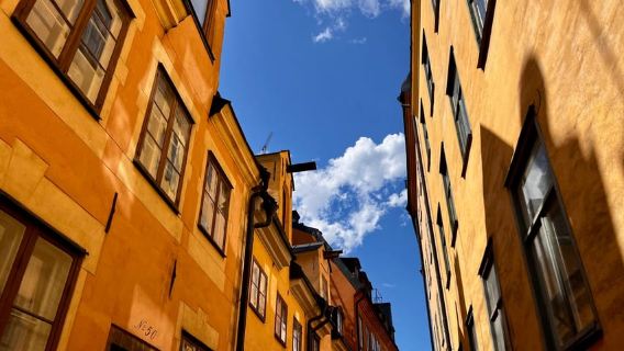Stockholm: Old Town Food Tour of 7 Locals Favorites Tastings