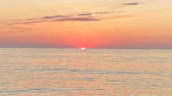 From Cannes: Half-day sailboat trip to the Lerins Islands