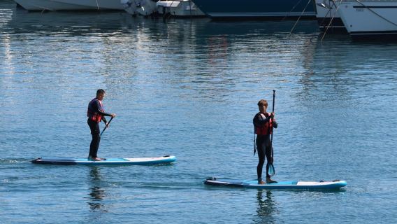 Paddle surf board rental at Valencia Beach