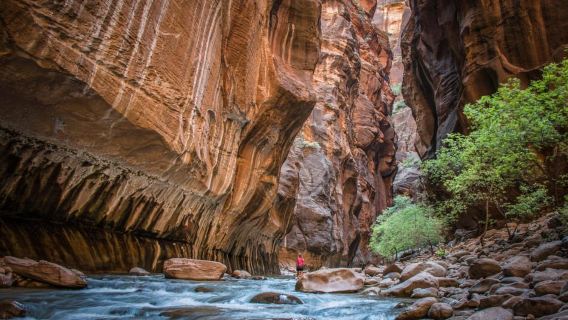 Zion National Park Hiking Lover Day Trip