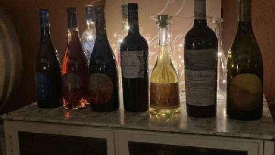 Alicante/Santa Pola - Best winery tour with tasting
