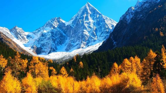 Bipeng Valley + South Bridge 1-day tour [pure play premium small group, trendy light-chasing journey]