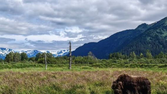Anchorage, Alaska, Amerika Syarikat | Pelabuhan Whittier Gletser Portage Tasik Portage lawatan sehari tanpa tiket