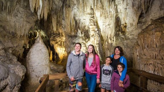 Waitomo CavesTours