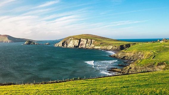 CorkTours