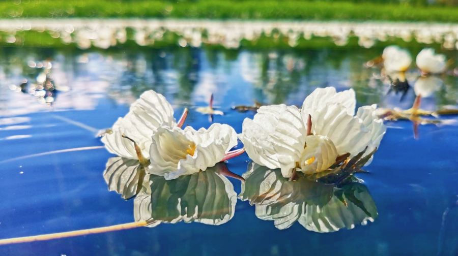 瀘沽湖一日遊2-14人小團【可升級獨立團真純玩｜豬槽船遊湖】