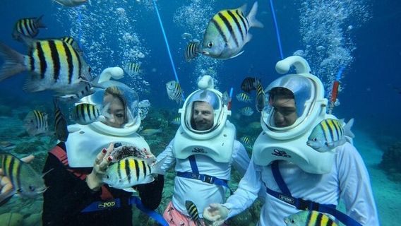 CuracaoTours