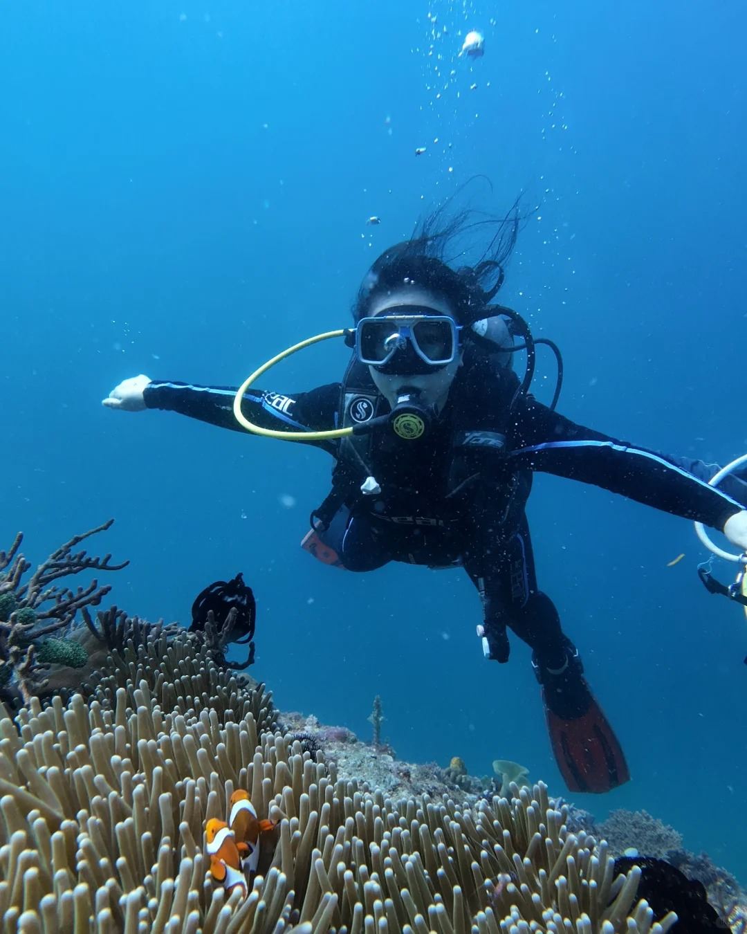 Boracay Scuba Diving | Discover Scuba Diving (No Certification) / Fun Dive (Certified Divers) | Includes Equipment + Free Underwater Photos & Videos