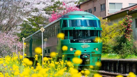 Excursion d'une journée de guérison à Kyushu Dazaifu + Téléphérique de Beppu + Yufuin avec option de train Yufuin no Mori