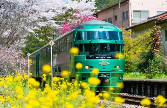 九州太宰府+別府纜車+湯布院療癒一日遊 由布院之森列車