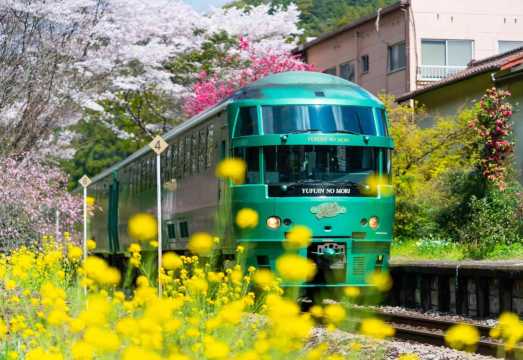 Kyushu Dazaifu + Nyoirinji Temple + Yufuin Healing one-day tour Yufuin Forest Train Optional