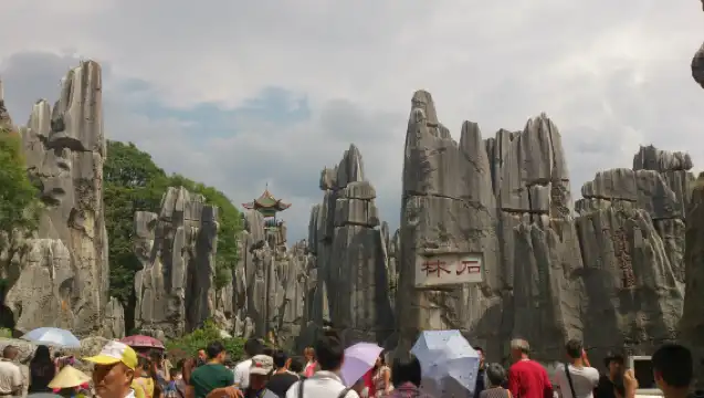 [Pure Fun] Yunnan Kunming Stone Forest Scenic Area + Jiuxiang one-day tour|Optional standalone package