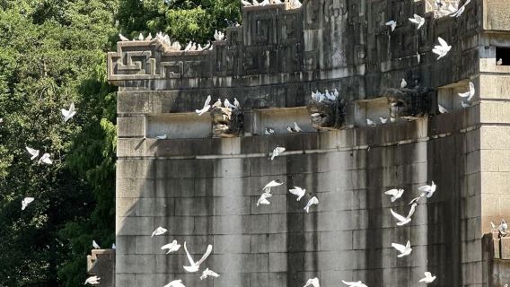 Nanjing Sun Yat-sen Mausoleum + Linggu attraction+ Nanjing Museum + Ancient Jiming Temple one-day tour- English Service Available