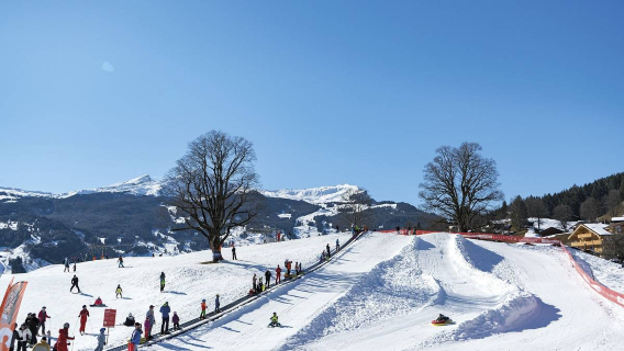 Skiing experience in the Jungfrau region of Switzerland (suitable for beginner skiers/certified instructors)