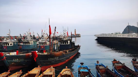 [대련핵심투어] 하루 만에 즐기는 대련의 모든 것#한국어가이드#전용차량 #시티투어#데이투어#팬더투어 