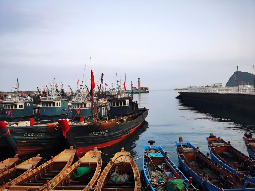 [대련핵심투어] 하루 만에 즐기는 대련의 모든 것#한국어가이드#전용차량 #시티투어#데이투어#팬더투어 