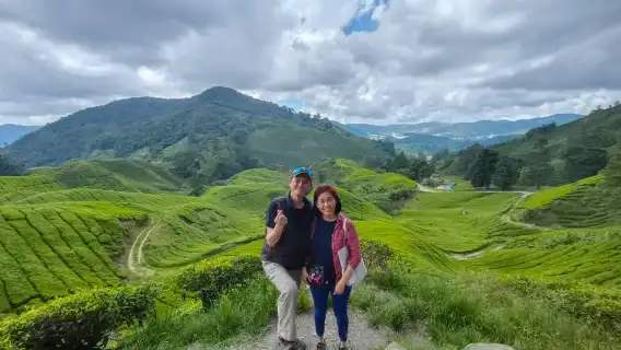 ทัวร์เต็มวันในคาเมรอนไฮแลนด์จากคาเมรอนไฮแลนด์ - ตัวเลือกแบบแชร์หรือแบบส่วนตัว