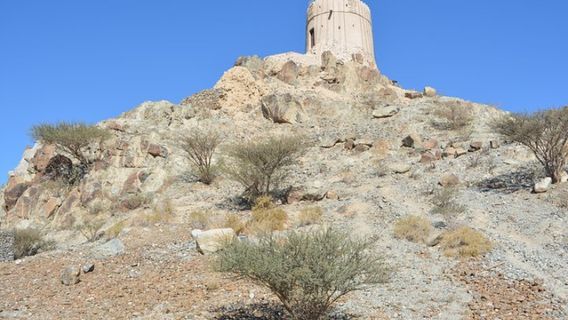 Ras Al KhaimahExperiences