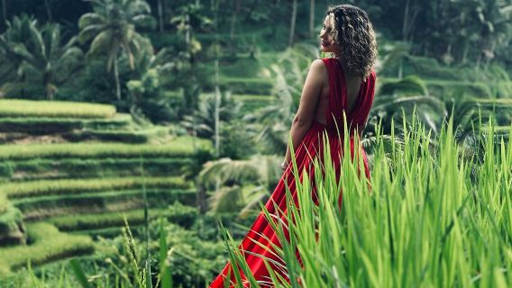 One day Ubud Tour All-Inclusive Tour with Optional Lunch