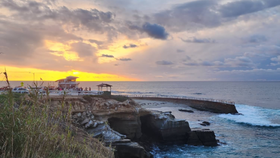 美國聖地牙哥港+聖地牙哥動物園+拉荷亞海灣一日遊