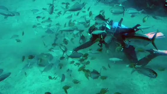 Submarine: Dive into the Atlantic Ocean