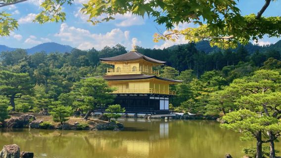 [Gwarantowana wycieczka] Jednodniowa wycieczka: Świątynia Fushimi Inari-taisha w Kioto + Arashiyama + Złoty Pawilon + Park Nara