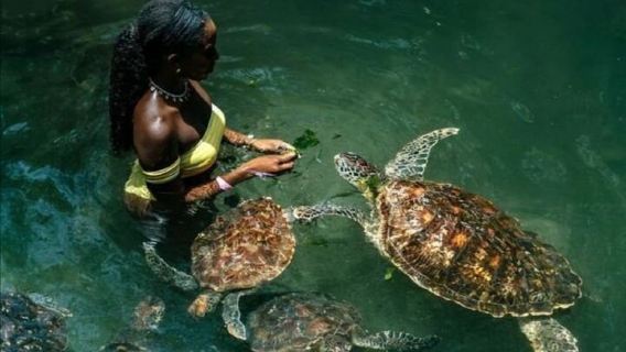 ZanzibarTours
