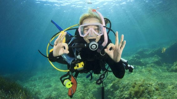 Hurghada: Guided Scuba Diving Experience + Roundtrip Transfer + Lunch