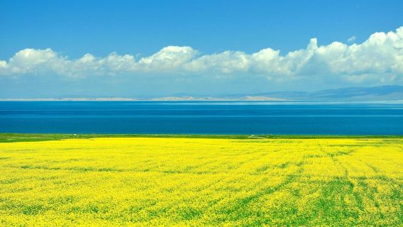 [Lanzhou, Gansu] Menyuan Flower Viewing Platform + Ink Danxia + Statue of Mother Yellow River + Lanzhou Old Street
