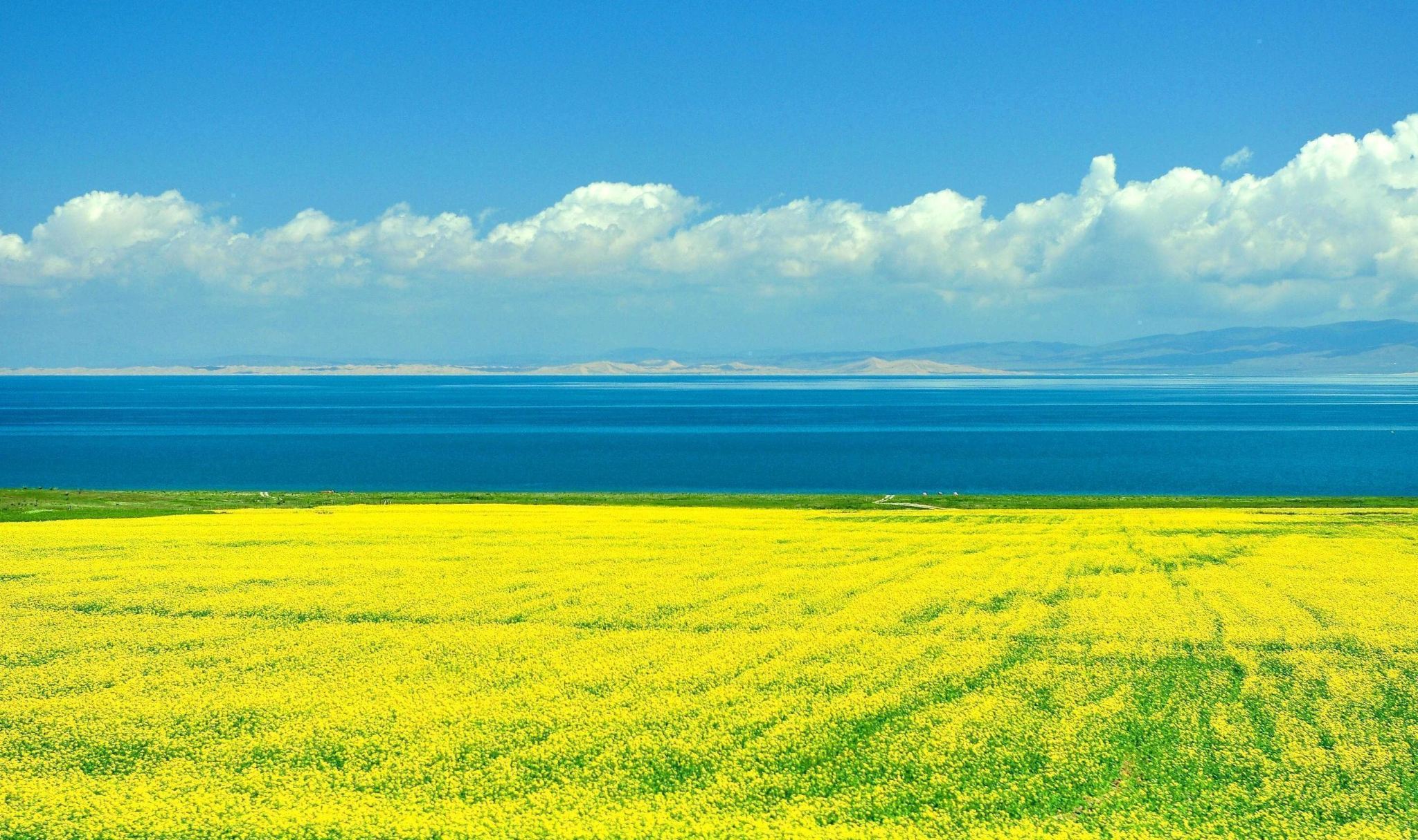 [Lanzhou, Gansu] Menyuan Flower Viewing Platform + Ink Danxia + Statue of Mother Yellow River + Lanzhou Old Street