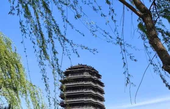 青島出發-淄博紅葉柿岩+海岱樓+八大局一日遊-可中英文服務