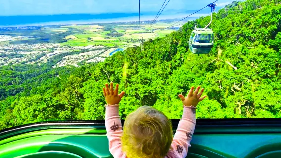 Kuranda Rainforest 1-day tour with Chinese-speaking guide throughout the journey | Koala/Cool Cattle holding available (optional) | English tour available