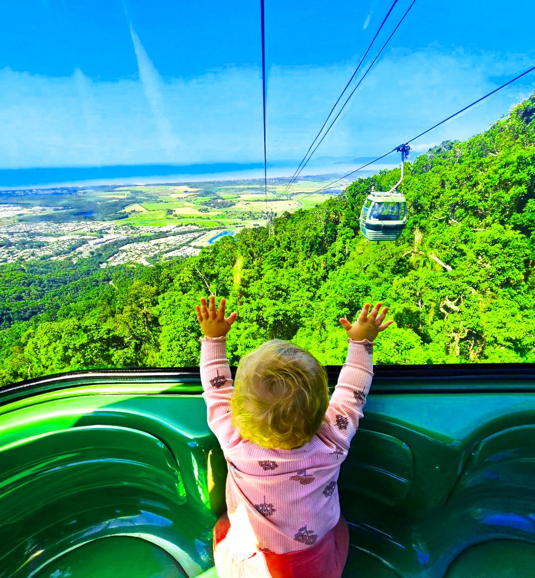 ทัวร์ 1 วันในป่าฝนคูรันดาพร้อมไกด์นำเที่ยวภาษาจีนตลอดทริป เลือกได้ระหว่างทัวร์ภาษาอังกฤษหรือจีน พร้อมโอกาสกอดโคอาล่า/วัวเท่ห์ๆ