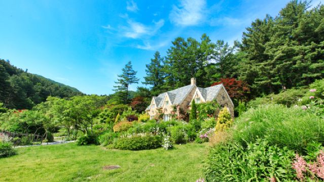 Chuncheon Day Tour in Korea [Nami Island/Alpaca World/Garden of Morning Calm]