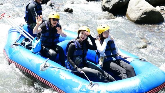 Bali: Ayung River Rafting + Instagram-famous Swing 1-day Tour|round-trip transfer