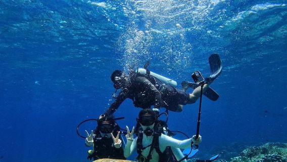 モーリシャス モーリシャス ブルー・ベイ 体験ダイビング スキューバダイビング 3時間【モーリシャス体験深海ダイビング DSD Discover Scuba Diving】