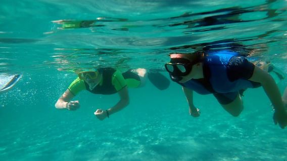 From Santa Pola: Snorkel Trip in Tabarca Island
