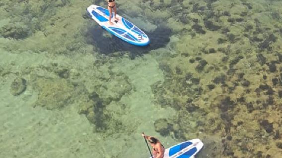 Introducción a Sup con un guía local