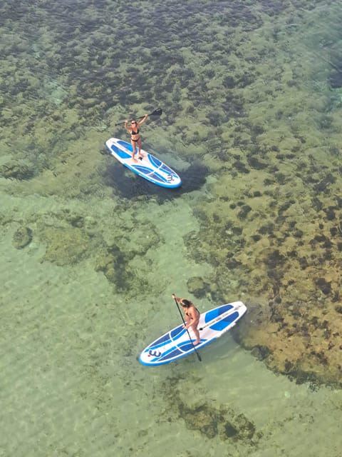 Sup introduction a local guide