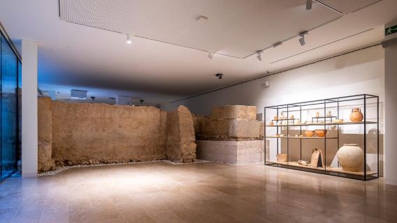 Valencia: Entrada o visita guiada al Centro de Arte Hortensia Herrero