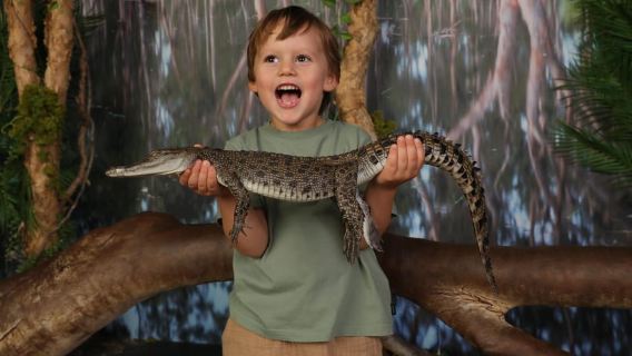 Darwin: Crocosaurus Cove e voce RFDS
