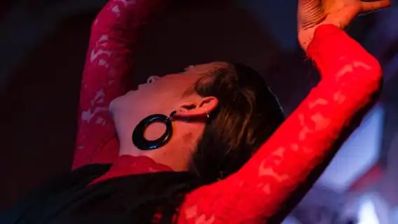 Valencia: Flamenco at Toro y La Luna with Drinks or Dinner