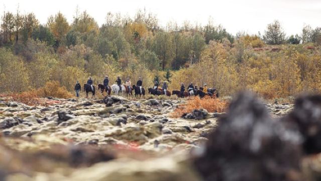 Hafnarfjörður: Gita a Cavallo nell'Area di Reykjavik